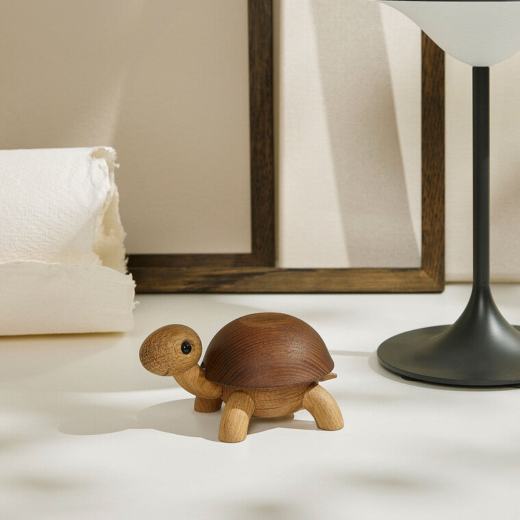 Speedy skildpaddeunge